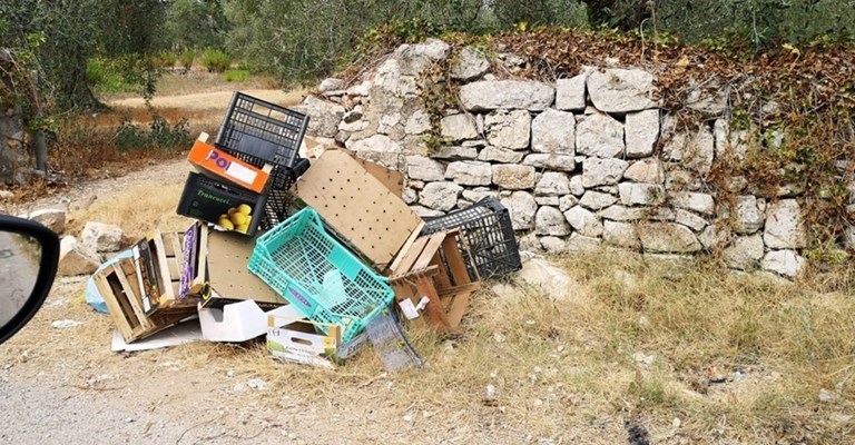 Un cumulo di rifiuti in via Saverio Daconto storico