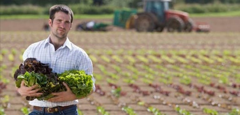 Psr, Coldiretti: «In Puglia spesa ferma al 22,62%»