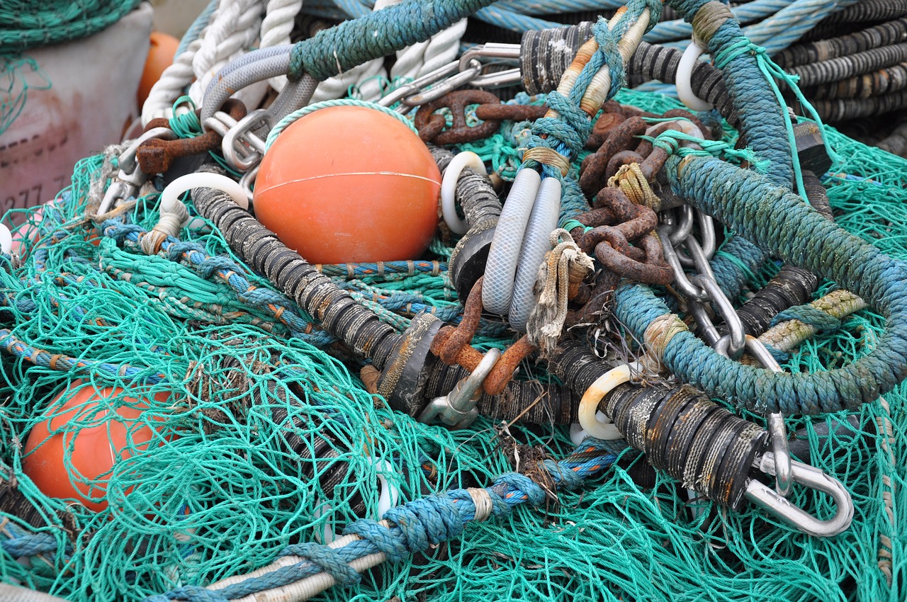 Cambiale azzurra, Coldiretti Pesca Puglia: «Le domande fino al 30 ottobre»